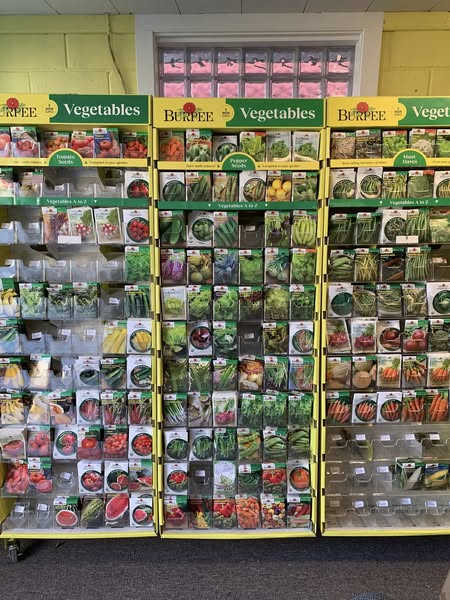 Free garden seeds